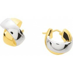 Boucles d'oreilles...